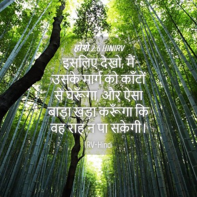 Picture 04 - होशे 2:6 HINIRV - इसलिए देखो, मैं - Bible Verse Picture