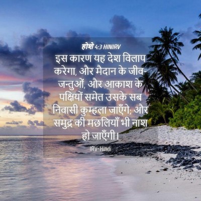 Picture 04 - होशे 4:3 HINIRV - इस कारण यह देश - Bible Verse Picture
