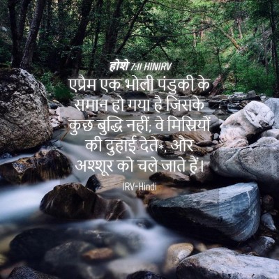 Picture 04 - होशे 7:11 HINIRV - एप्रैम एक भोली - Bible Verse Picture