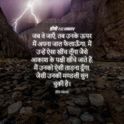 Picture 04 - होशे 7:12 HINIRV - जब वे जाएँ, तब उनके - Bible Verse Picture