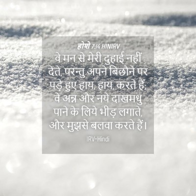 Picture 04 - होशे 7:14 HINIRV - वे मन से मेरी दुहाई - Bible Verse Picture