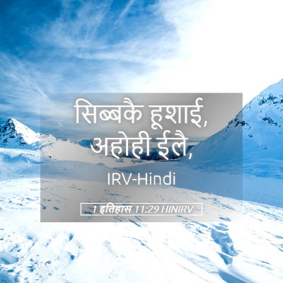 Picture 05 - 1 इतिहास 11:29 HINIRV - सिब्बकै हूशाई, - Bible Verse Picture