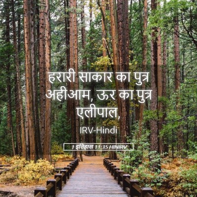 Picture 05 - 1 इतिहास 11:35 HINIRV - हरारी साकार का - Bible Verse Picture