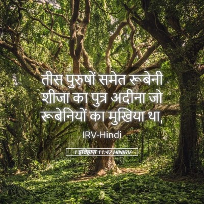 Picture 05 - 1 इतिहास 11:42 HINIRV - तीस पुरुषों समेत - Bible Verse Picture