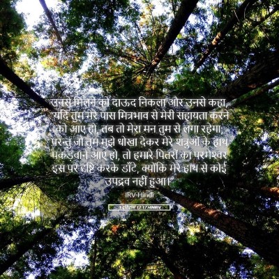 Picture 05 - 1 इतिहास 12:17 HINIRV - उनसे मिलने को दाऊद - Bible Verse Picture