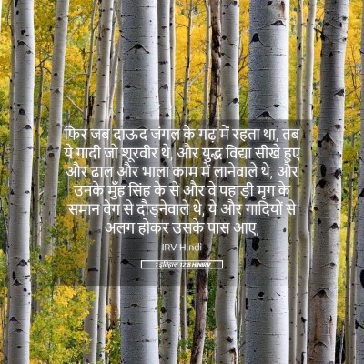 Picture 05 - 1 इतिहास 12:8 HINIRV - फिर जब दाऊद जंगल के - Bible Verse Picture
