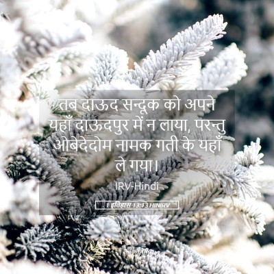 Picture 05 - 1 इतिहास 13:13 HINIRV - तब दाऊद सन्दूक को - Bible Verse Picture