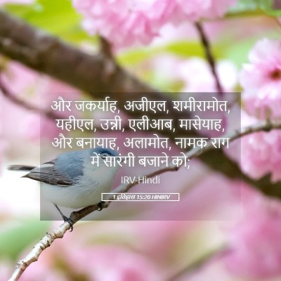 Picture 05 - 1 इतिहास 15:20 HINIRV - और जकर्याह, अजीएल, - Bible Verse Picture