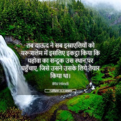 Picture 05 - 1 इतिहास 15:3 HINIRV - तब दाऊद ने सब - Bible Verse Picture