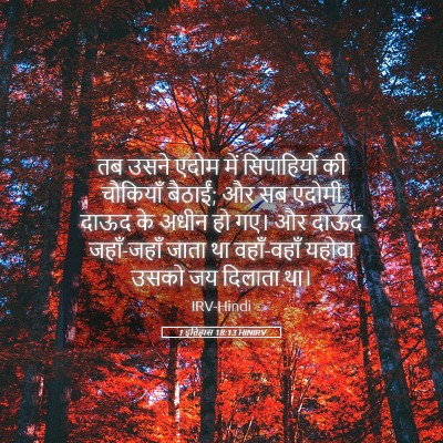 Picture 05 - 1 इतिहास 18:13 HINIRV - तब उसने एदोम में - Bible Verse Picture