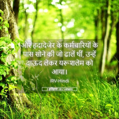 Picture 05 - 1 इतिहास 18:7 HINIRV - और हदादेजेर के - Bible Verse Picture