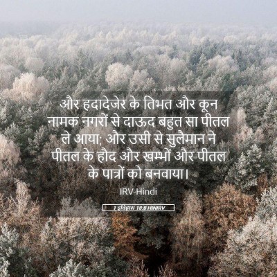 Picture 05 - 1 इतिहास 18:8 HINIRV - और हदादेजेर के - Bible Verse Picture