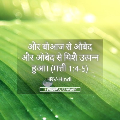 Picture 05 - 1 इतिहास 2:12 HINIRV - और बोआज से ओबेद और - Bible Verse Picture