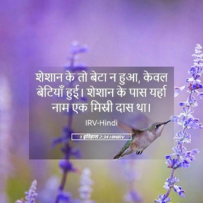 Picture 05 - 1 इतिहास 2:34 HINIRV - शेशान के तो बेटा न - Bible Verse Picture