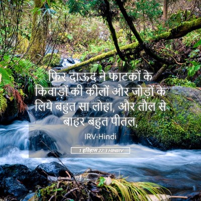 Picture 05 - 1 इतिहास 22:3 HINIRV - फिर दाऊद ने फाटकों - Bible Verse Picture