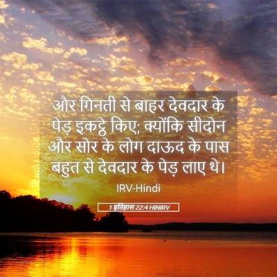 Picture 05 - 1 इतिहास 22:4 HINIRV - और गिनती से बाहर - Bible Verse Picture