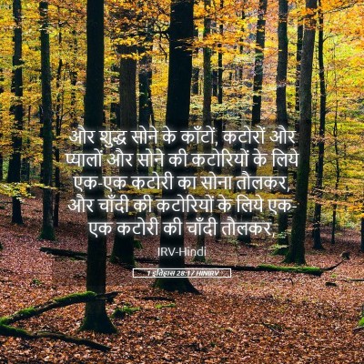 Picture 05 - 1 इतिहास 28:17 HINIRV - और शुद्ध सोने के - Bible Verse Picture