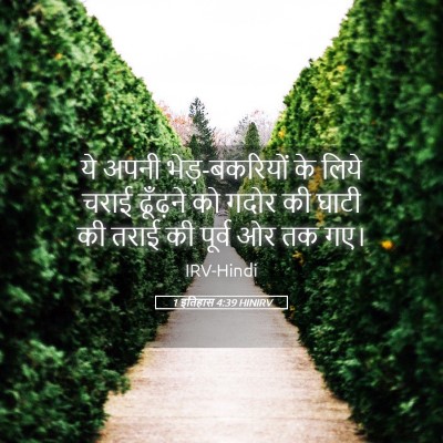 Picture 05 - 1 इतिहास 4:39 HINIRV - ये अपनी - Bible Verse Picture
