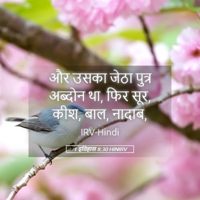 Picture 05 - 1 इतिहास 8:30 HINIRV - और उसका जेठा पुत्र - Bible Verse Picture