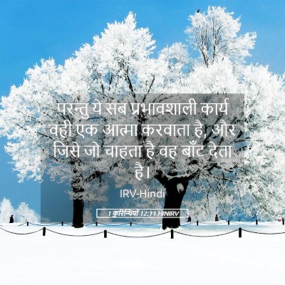 Picture 05 - 1 कुरिन्थियों 12:11 HINIRV - परन्तु ये सब - Bible Verse Picture