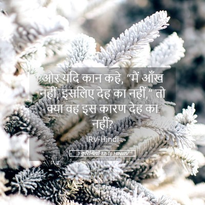 Picture 05 - 1 कुरिन्थियों 12:16 HINIRV - और यदि कान कहे, - Bible Verse Picture
