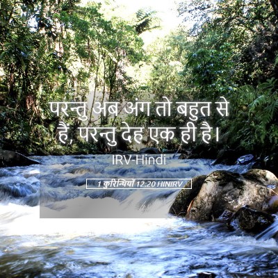 Picture 05 - 1 कुरिन्थियों 12:20 HINIRV - परन्तु अब अंग तो - Bible Verse Picture