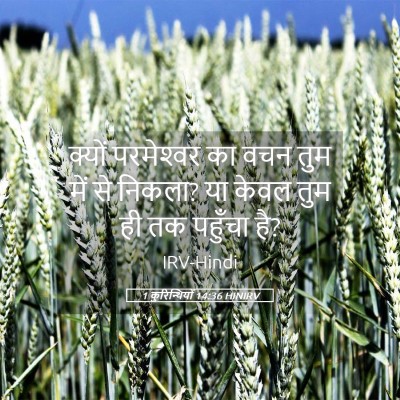 Picture 05 - 1 कुरिन्थियों 14:36 HINIRV - क्यों परमेश्‍वर - Bible Verse Picture