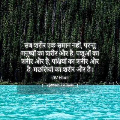 Picture 05 - 1 कुरिन्थियों 15:39 HINIRV - सब शरीर एक समान - Bible Verse Picture