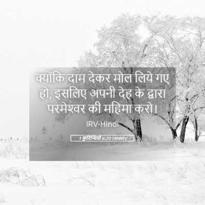 Picture 05 - 1 कुरिन्थियों 6:20 HINIRV - क्योंकि दाम देकर - Bible Verse Picture