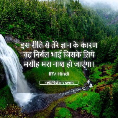 Picture 05 - 1 कुरिन्थियों 8:11 HINIRV - इस रीति से तेरे - Bible Verse Picture