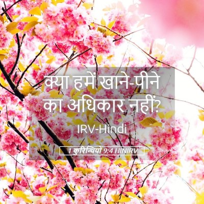 Picture 05 - 1 कुरिन्थियों 9:4 HINIRV - क्या हमें - Bible Verse Picture