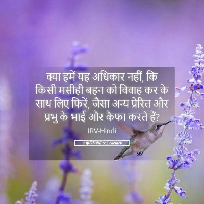 Picture 05 - 1 कुरिन्थियों 9:5 HINIRV - क्या हमें यह - Bible Verse Picture