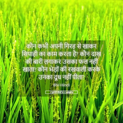 Picture 05 - 1 कुरिन्थियों 9:7 HINIRV - कौन कभी अपनी गिरह - Bible Verse Picture