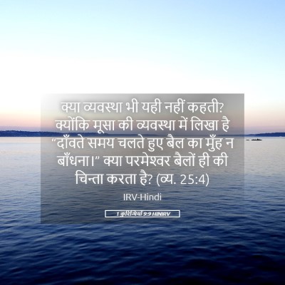 Picture 05 - 1 कुरिन्थियों 9:9 HINIRV - क्या व्यवस्था भी - Bible Verse Picture