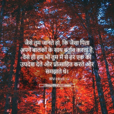 Picture 05 - 1 थिस्सलुनीकियों 2:11 HINIRV - जैसे तुम जानते हो, - Bible Verse Picture