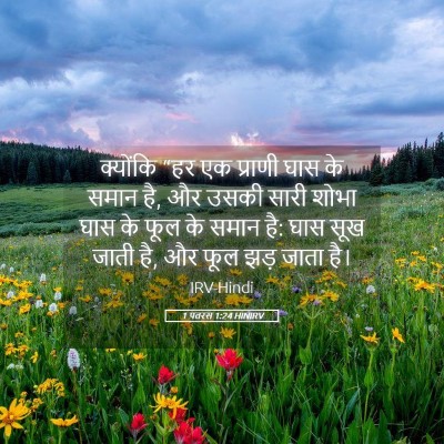 Picture 05 - 1 पतरस 1:24 HINIRV - क्योंकि “हर एक - Bible Verse Picture