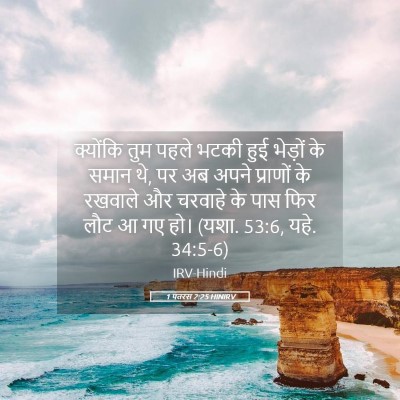 Picture 05 - 1 पतरस 2:25 HINIRV - क्योंकि तुम पहले - Bible Verse Picture