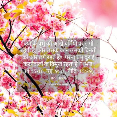 Picture 05 - 1 पतरस 3:12 HINIRV - क्योंकि प्रभु की - Bible Verse Picture