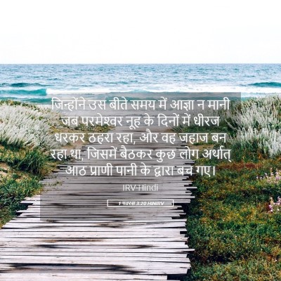 Picture 05 - 1 पतरस 3:20 HINIRV - जिन्होंने उस बीते - Bible Verse Picture