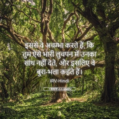 Picture 05 - 1 पतरस 4:4 HINIRV - इससे वे अचम्भा - Bible Verse Picture