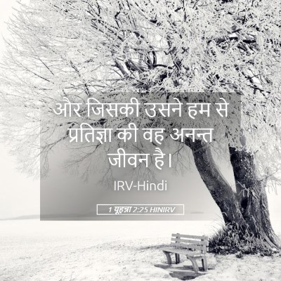 Picture 05 - 1 यूहन्ना 2:25 HINIRV - और जिसकी उसने हम से - Bible Verse Picture