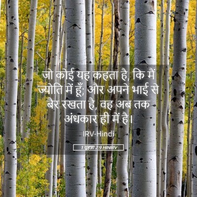 Picture 05 - 1 यूहन्ना 2:9 HINIRV - जो कोई यह कहता है, - Bible Verse Picture