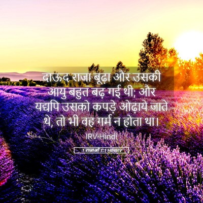 Picture 05 - 1 राजाओं 1:1 HINIRV - दाऊद राजा बूढ़ा और - Bible Verse Picture
