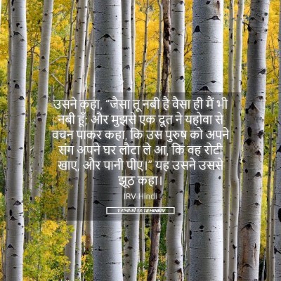 Picture 05 - 1 राजाओं 13:18 HINIRV - उसने कहा, “जैसा तू - Bible Verse Picture
