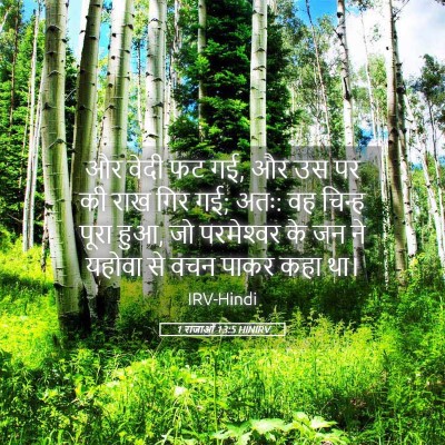 Picture 05 - 1 राजाओं 13:5 HINIRV - और वेदी फट गई, और उस - Bible Verse Picture