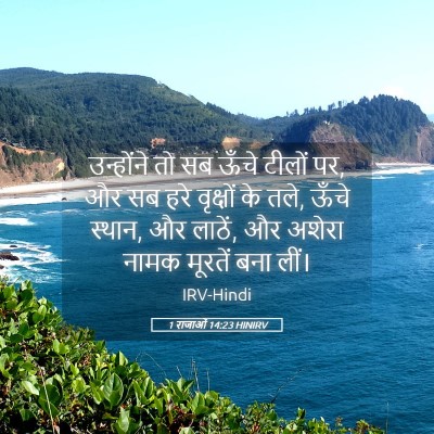 Picture 05 - 1 राजाओं 14:23 HINIRV - उन्होंने तो सब - Bible Verse Picture
