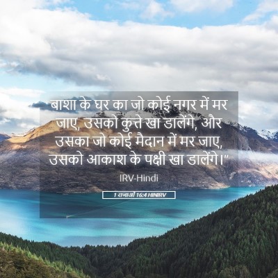 Picture 05 - 1 राजाओं 16:4 HINIRV - बाशा के घर का जो - Bible Verse Picture