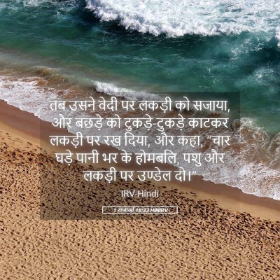 Picture 05 - 1 राजाओं 18:33 HINIRV - तब उसने वेदी पर - Bible Verse Picture