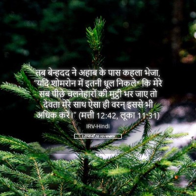 Picture 05 - 1 राजाओं 20:10 HINIRV - तब बेन्हदद ने अहाब - Bible Verse Picture