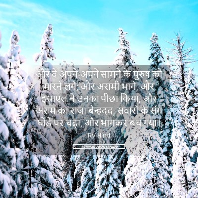 Picture 05 - 1 राजाओं 20:20 HINIRV - और वे अपने-अपने - Bible Verse Picture